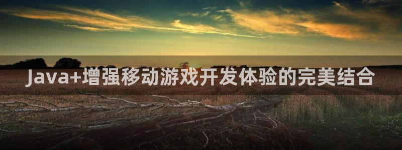 V8娱乐平台：Java+增强移动游戏开发体验的完美结合