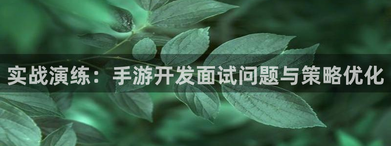 V8娱乐官网：实战演练：手游开发面试问题与策略优化