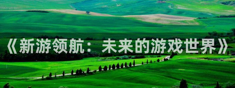 V8娱乐官网：《新游领航：未来的游戏世界》