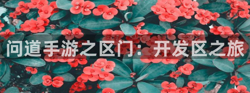 V8娱乐：问道手游之区门：开发区之旅